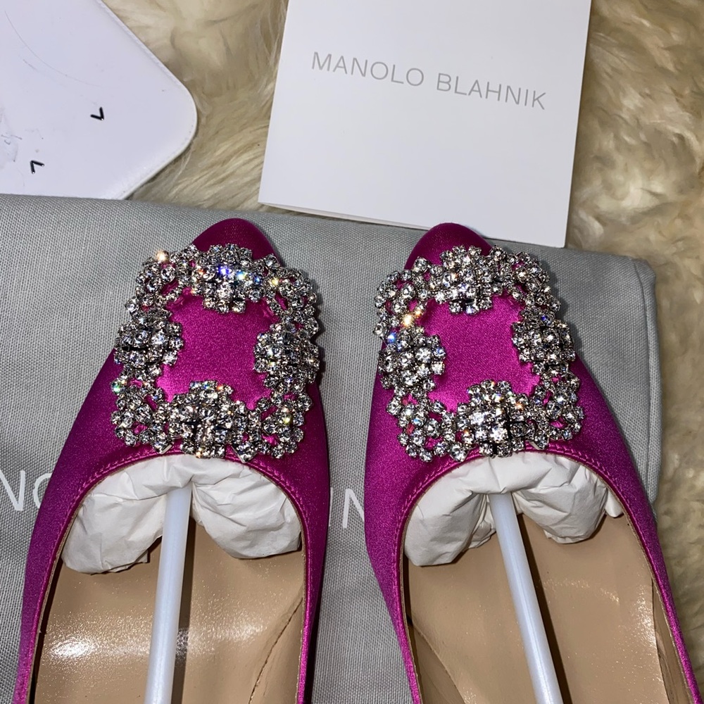 New authentic Manolo Blahnik hangisi pumps - Picture 2 of 14